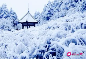 梦里面的雪会给你带来祥瑞吗
