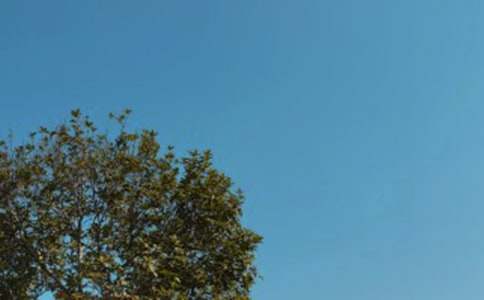 如何做出好吃的中午减肥餐