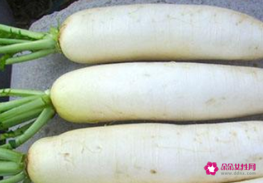 赤松茸不能与什么一起吃