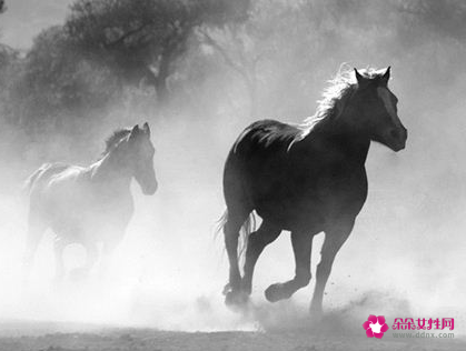 梦见自由什么意思