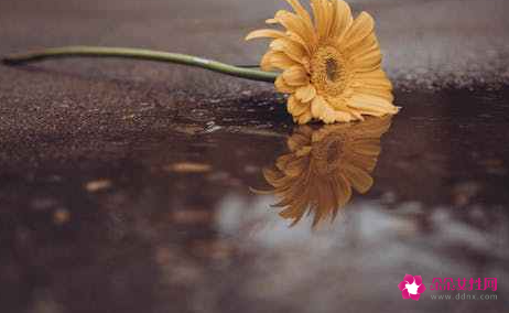 怎么摆脱心里的痛苦