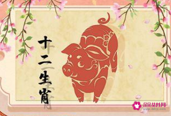 属猪人最苦命和最好命的出生月份