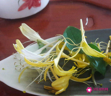 喝金银花水禁忌