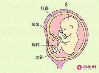 四个月宝宝奶量