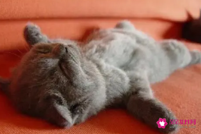 懒已成第四大死亡风险因素