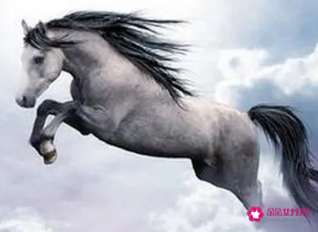 1990年32岁属马的是什么命啊