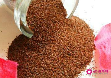 海藻面膜的功效和作用有哪些