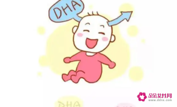 宝宝什么情况需要补充dha