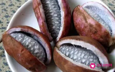 八月札的功效与作用是什么