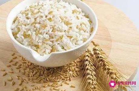 燕麦的功效与作用禁忌及食用方法