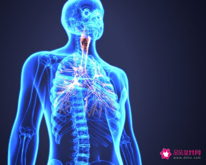 有关于身体健康的知识
