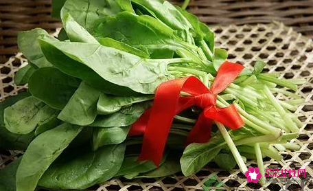 秋季时令蔬菜有哪些