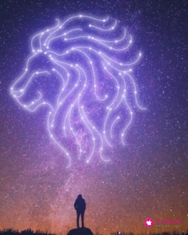 狮子男超爱一个女人的表现