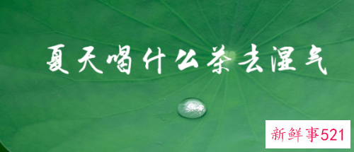 夏天喝啥茶去火又去湿气