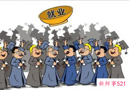 就业表实践情况怎么写