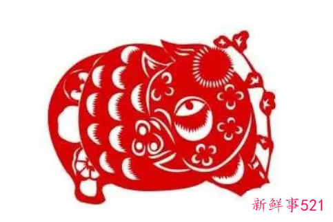 95年属猪什么时候遇到正缘