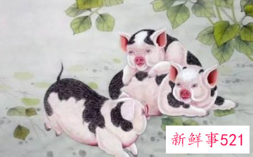 虎年什么生肖最旺