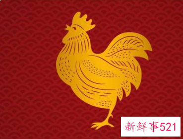 虎年什么生肖最旺