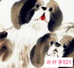 属狗的正缘桃花是谁