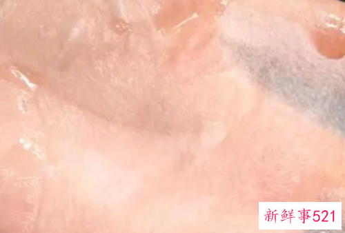 天丝面膜和蚕丝面膜哪个好