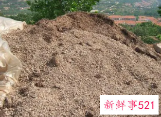 鸡粪埋在土里多久才能发酵