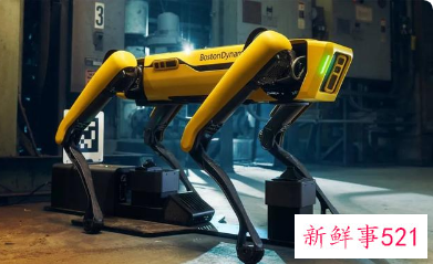 波士顿动力机器狗再次更新进化