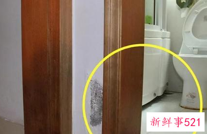 卫生间门口墙面发霉如何处理