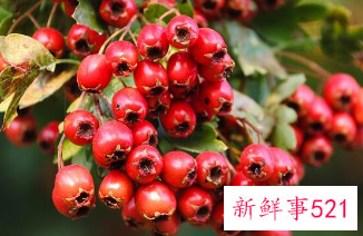 山楂搭配什么可以降血脂