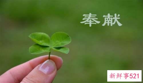 盲目牺牲奉献的星座