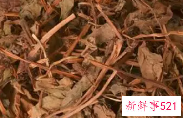 鱼腥草茶的功效与作用有哪些