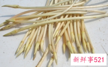 藕带的功效与作用