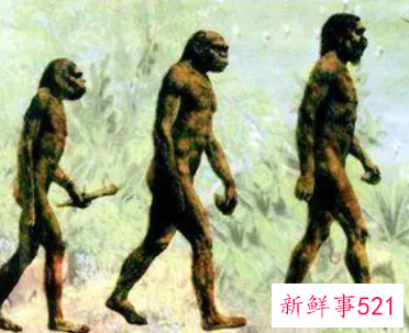 最早的人类是哪国人