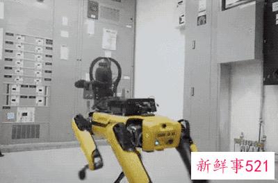 波士顿动力机器狗再次更新进化