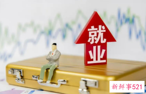 就业表实践情况怎么写