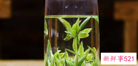 喝绿茶有益健康