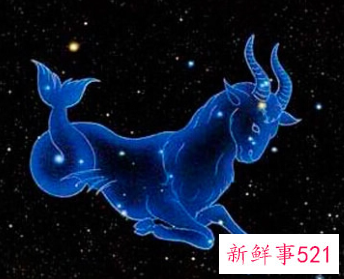 属狗摩羯男的性格