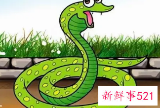 梦到蛇是好事还是坏事