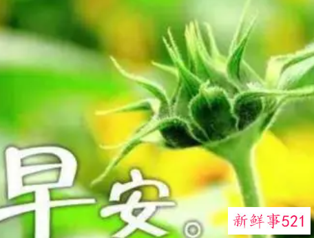 早安分享养生小知识