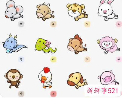 十二生肖对应的幸运植物