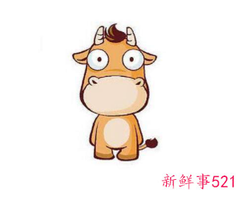 生肖中谁爱情好