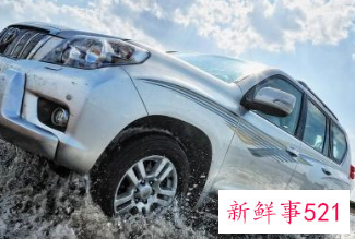 开车去旅行什么车比较好