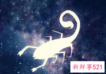 什么星座保护双子座