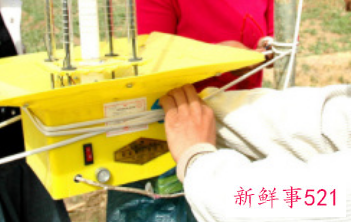 卧室有小虫子怎么处理