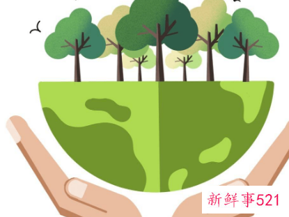 环境评估报告书