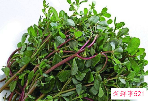 马齿苋怎么吃祛湿最好