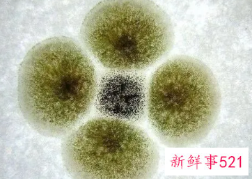 妇科病细菌感染是怎么来的