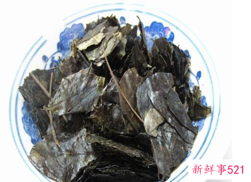 毛冬青茶的功效与作用毛冬青茶的禁忌