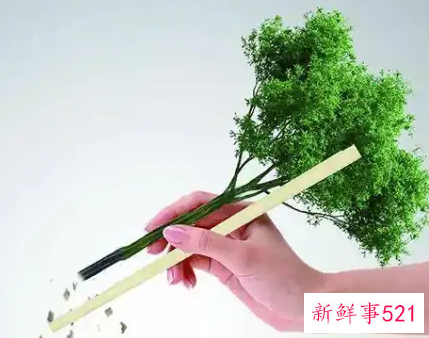 不使用一次性用品的宣传语