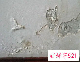 墙面掉皮咋修补