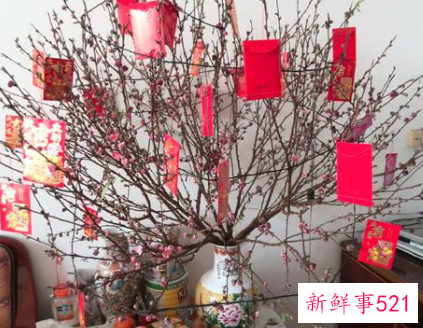 过年摆桃花的寓意和象征